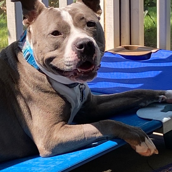 Meet your Posher, CathyBunny - Picture 16 of 16